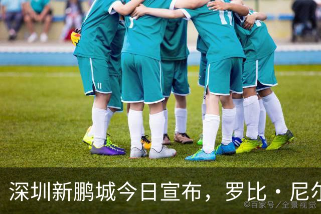 深圳新鹏城今日宣布，罗比·尼尔森即日起正式出任一线队主教练